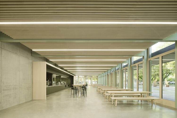 Спортивный зал Wangen / Steimle Architekten - Интерьерная фотография, дерево