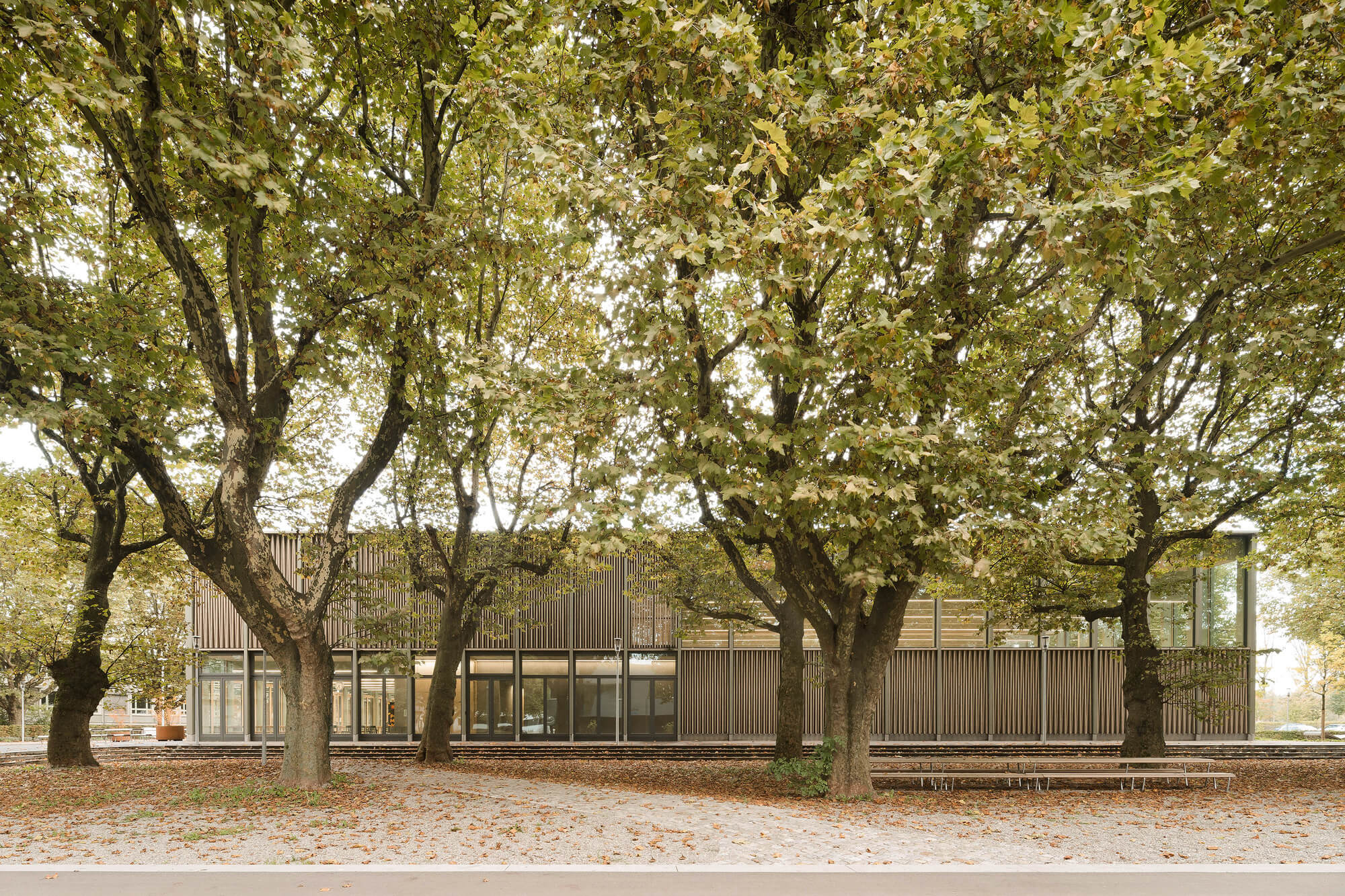 Спортивный зал Wangen / Steimle Architekten