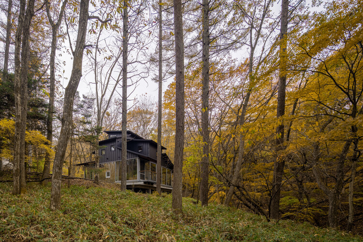 Девятикратная крыша / T2P Architects Office - внешняя фотография, лес, лес