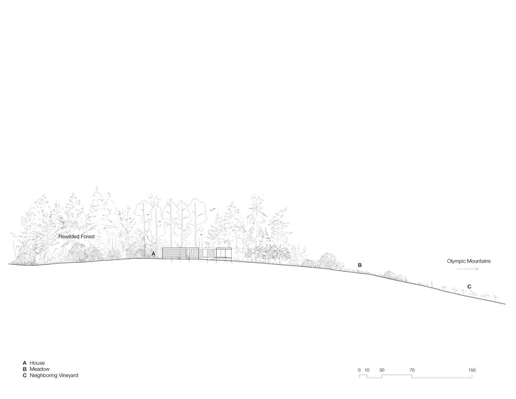 Whidbey Uparati House / Wittman Estes - изображение 24 из 27