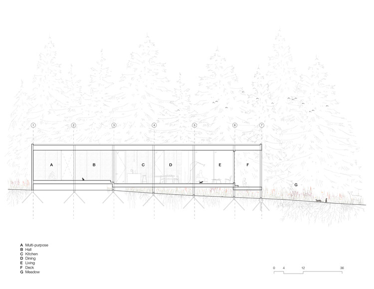 Whidbey Uparati House / Wittman Estes - изображение 26 из 27