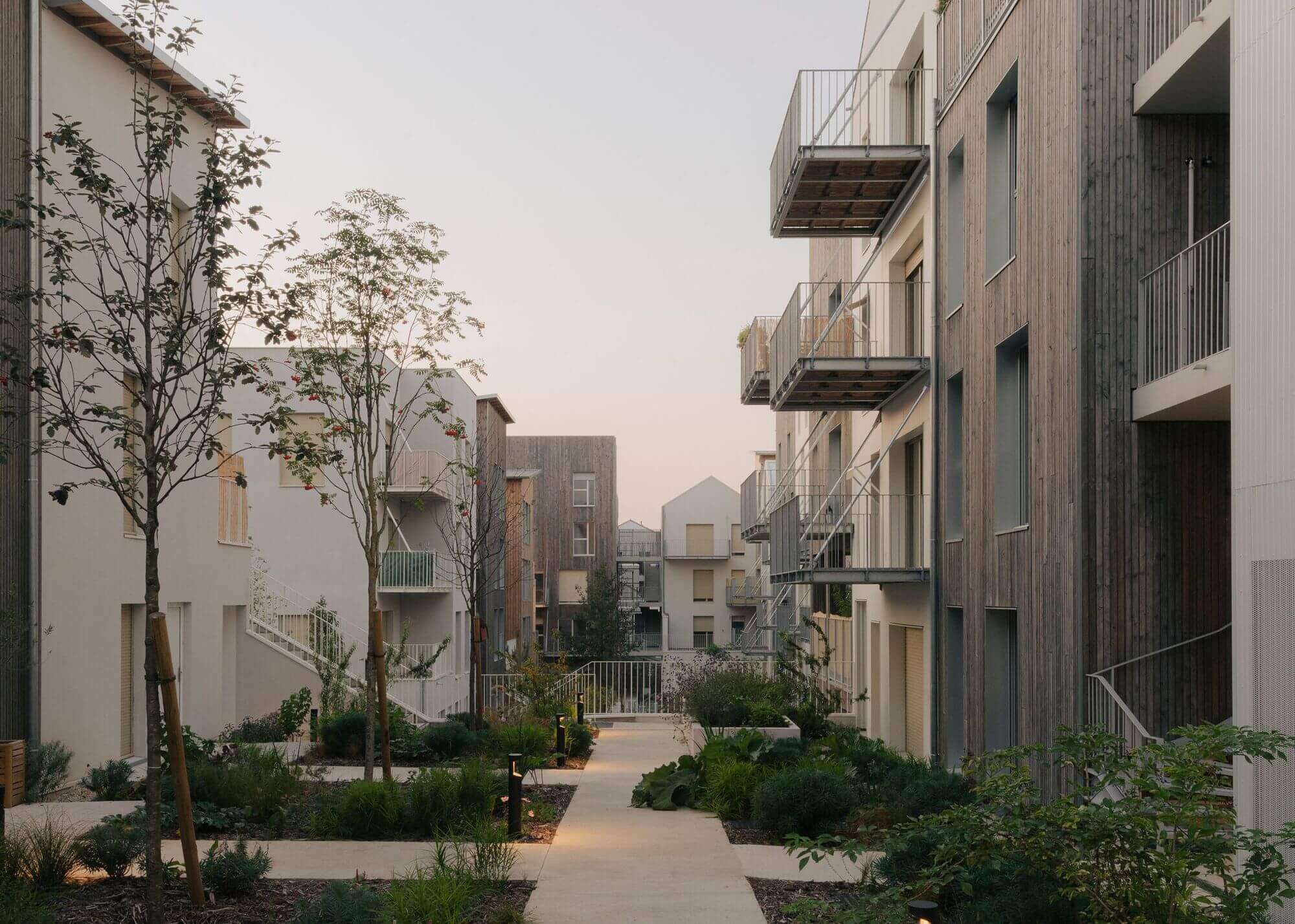 Newood Housing / LA Architectures + AQMA