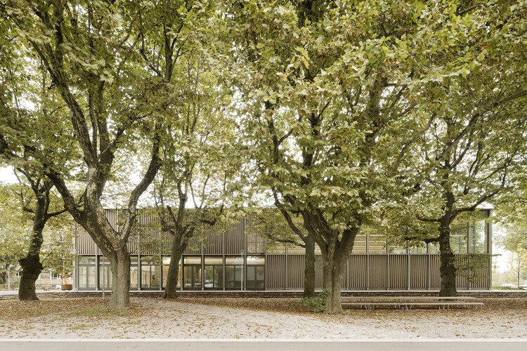Спортивный зал Wangen / Steimle Architekten - изображение 1 из 19