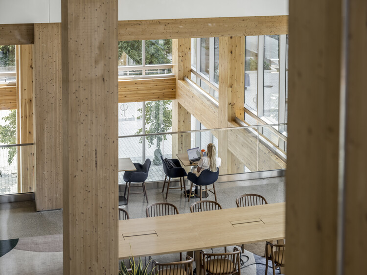 T3 Bayside / 3xn - Интерьерная фотография, дерево