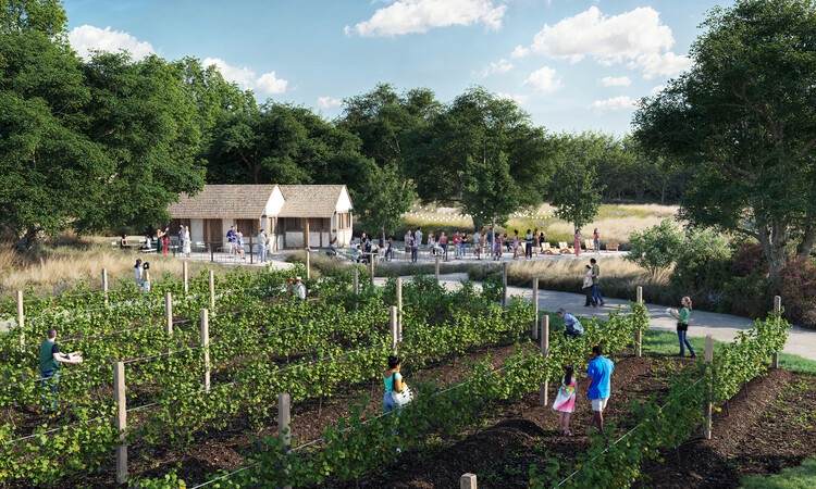 Рид Хилдербранд и So -Il Reimagine San Antonio Botanical Garden с новым садом опылителей и общественной теплицей - изображение 4 из 4
