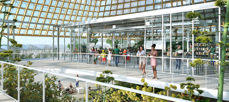Рид Хилдербранд и So -Il Reimagine San Antonio Botanical Garden с новым садом опылителей и общественной теплицей - изображение 3 из 4