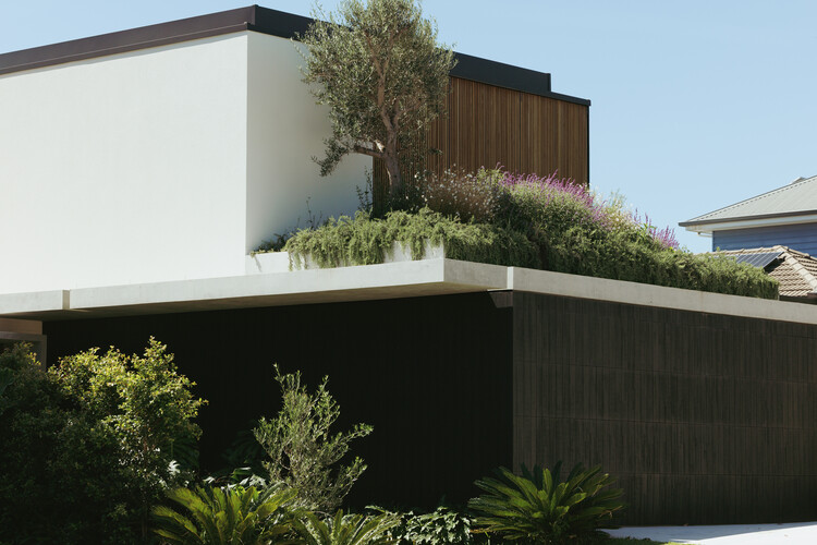 Little Birch House / Buck & Simple - изображение 6 из 44