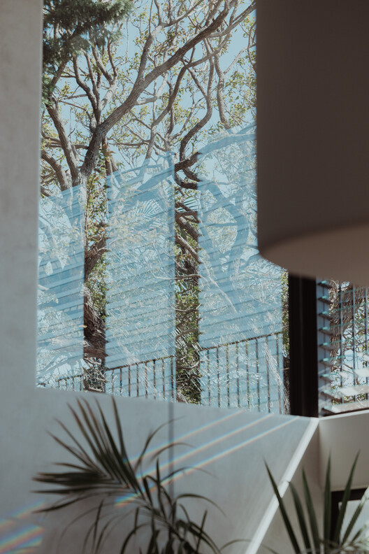 Little Birch House / Buck & Simple - Интерьерная фотография, стекло