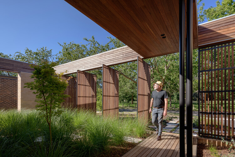 Hackett Gardens House / Ben Walker Architects - Внешняя фотография, дерево, сад, палуба