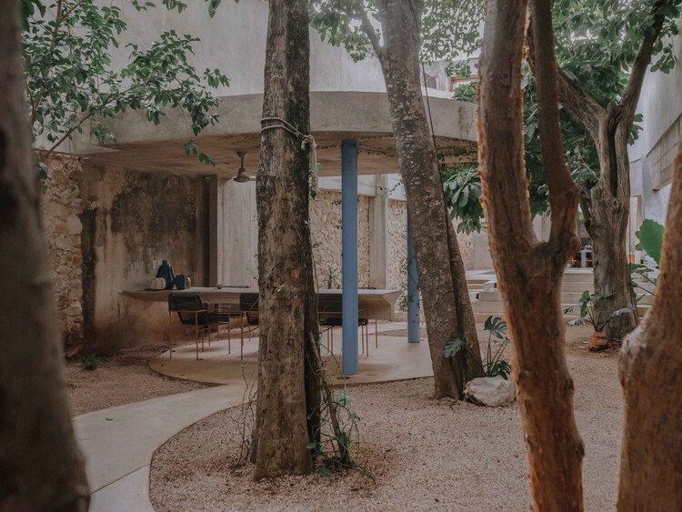 Soskil House / Ludwig Godefroy Architect - изображение 1 из 22