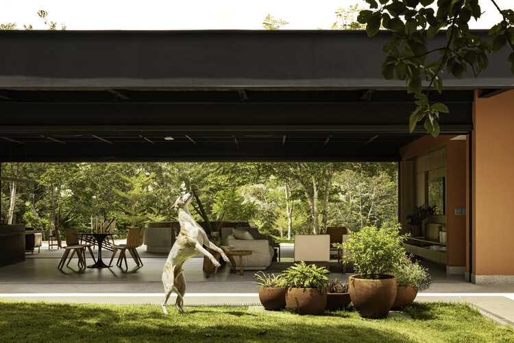 Galgo House / Tati Tavares + Alex Dalcin Arquitetura - Внешняя фотография, сад, двор, внутренний дворик