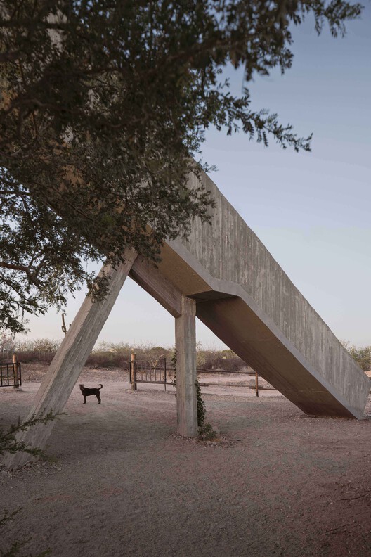Casa La Paz / Ludwig Godefroy Architecture - изображение 9 из 21