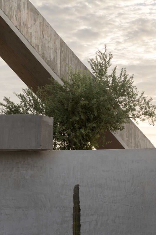 Casa La Paz / Ludwig Godefroy Architecture - изображение 10 из 21