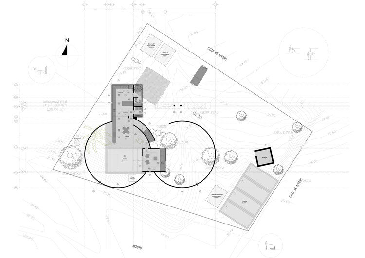 Casa La Paz / Ludwig Godefroy Architecture - изображение 19 из 21