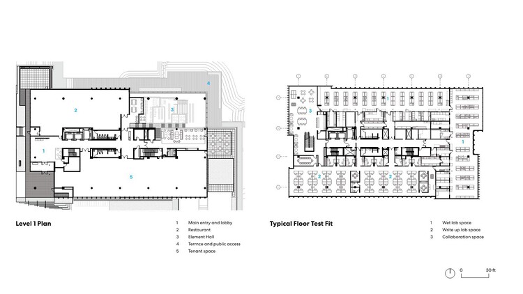 Element Labs в университетском исследовательском парке / Perkins+Will - изображение 16 из 16