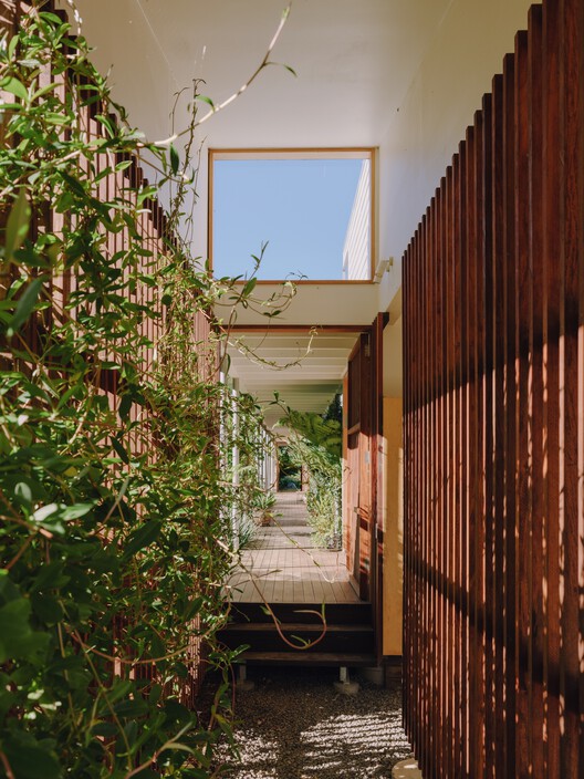 Cooroy House / Генри Беннетт + Дэн Уилсон - Интерьерная фотография, лес, балкон