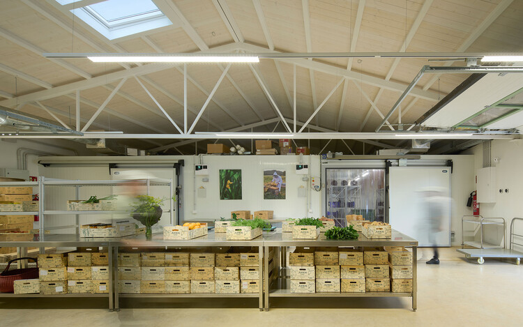 House of Harvest / Fryn Studio - Интерьерная фотография, кухня, освещение, стеллажи, луч