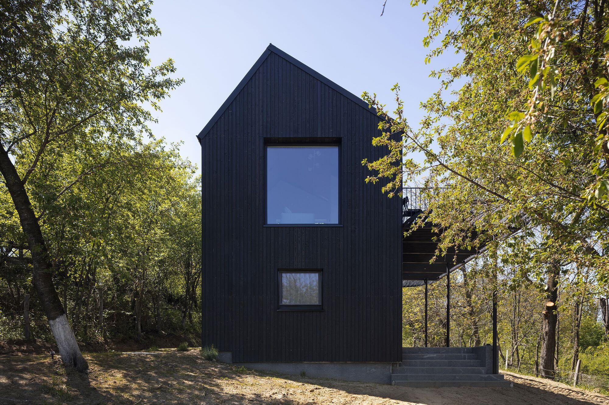 CL02 CABIN / VINKLU | Архидали