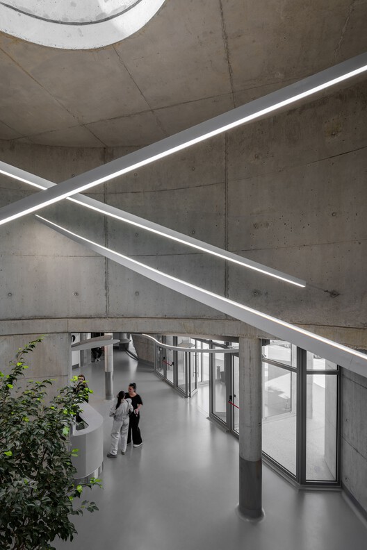 Vet Hospital Tirana / Davide Macullo Architects - Interior Photography