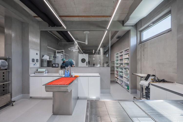 Vet Hospital Tirana / Davide Macullo Architects - Interior Photography, Kitchen