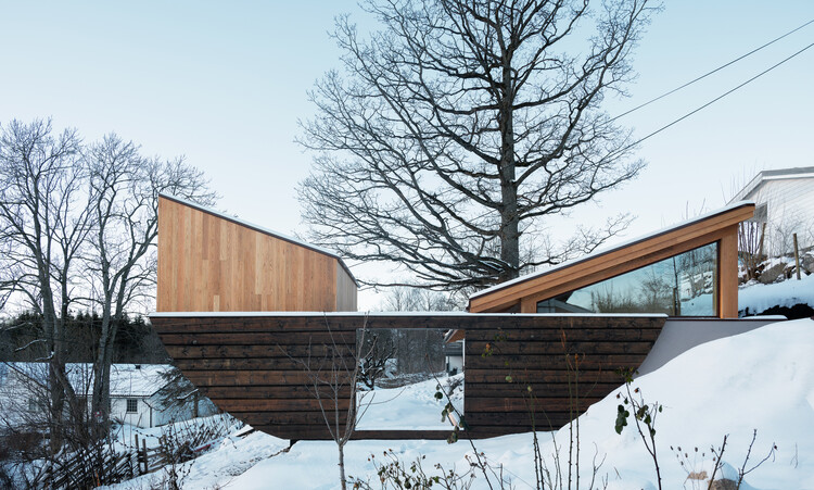 Безумие в Fair Hill / Rever & Drage Architects - Экстерьем фотография, дерево