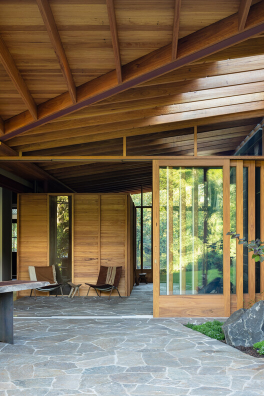 Zulaichha Laurence Tree Cheer House / Studio Zawa - Интерьерная фотография, дерево, луч