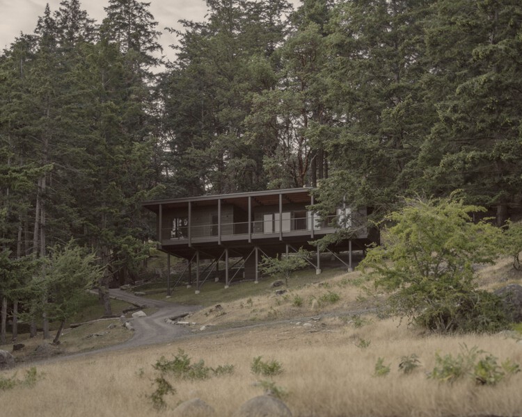 Trestle Cabine / Miller Hull Partnership - Extery Photography, Forest