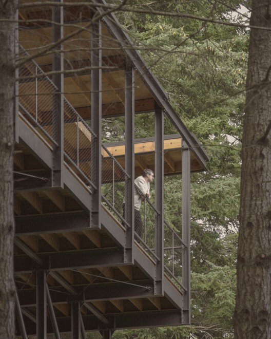 Trestle Cabine / Miller Hull Partnership - Интерьерная фотография, лес, лес, поручница