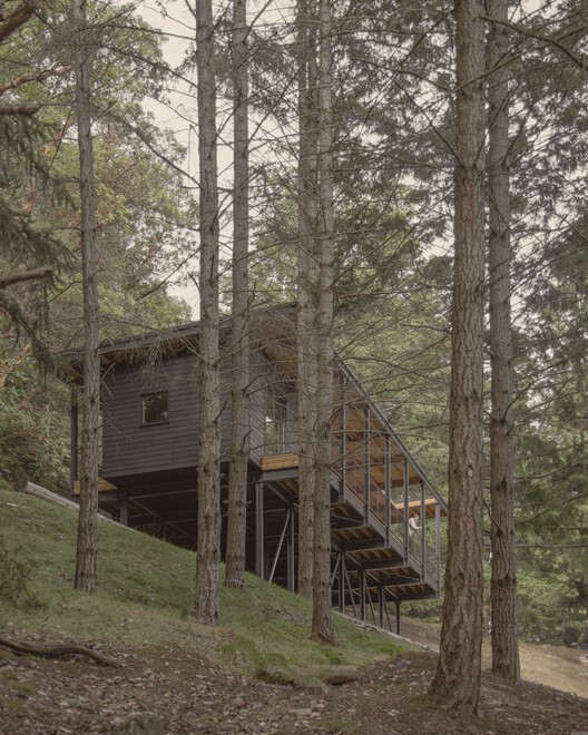 Trestle Cabine / Miller Hull Partnership - Экстерьерная фотография, лес, лес