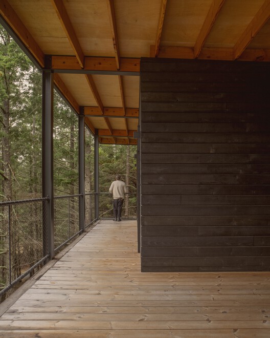 Trestle Cabin / Miller Hull Partnership - Интерьерная фотография, дерево, палуба