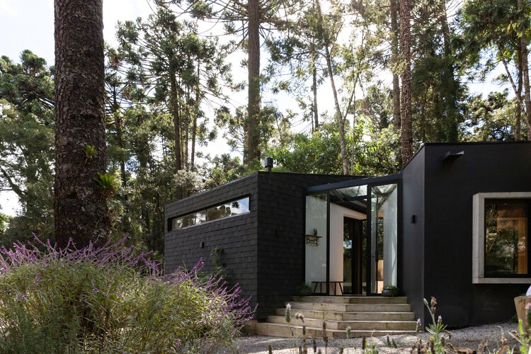 Araucarias House / Arkitito arquitetura - внешняя фотография, дверь