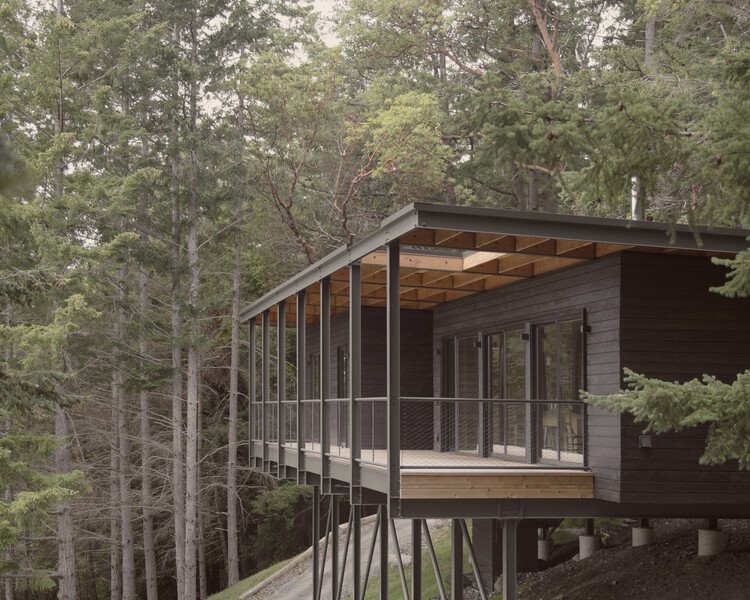 Trestle Cabin / Miller Hull Partnership - Внешняя фотография, лес, лес, палуба